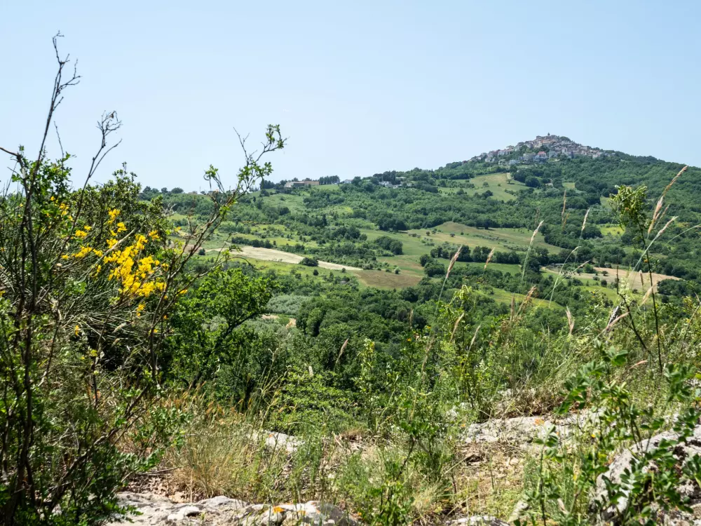 Maison de Vacances Pescara