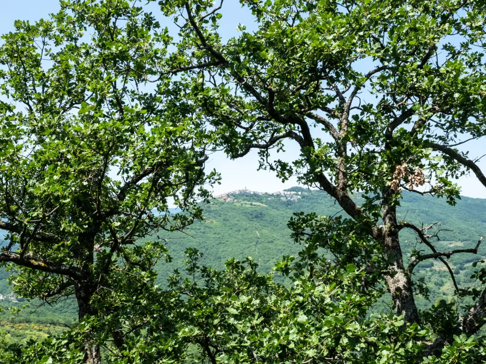 Maison de Vacances Pescara