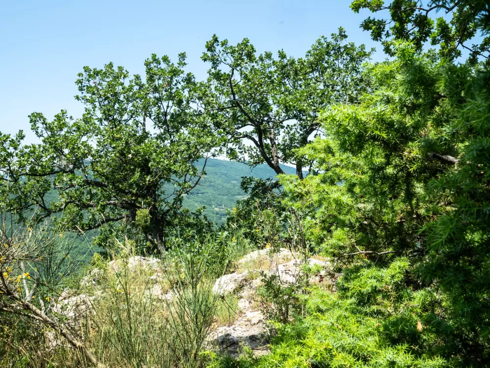 Maison de Vacances Pescara