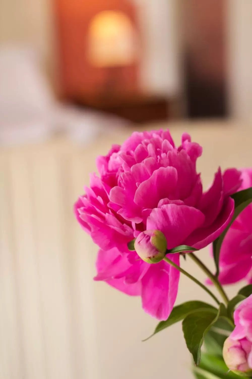 Résidence Wohnung 'Casa Natalia' mit Privatparkplatz