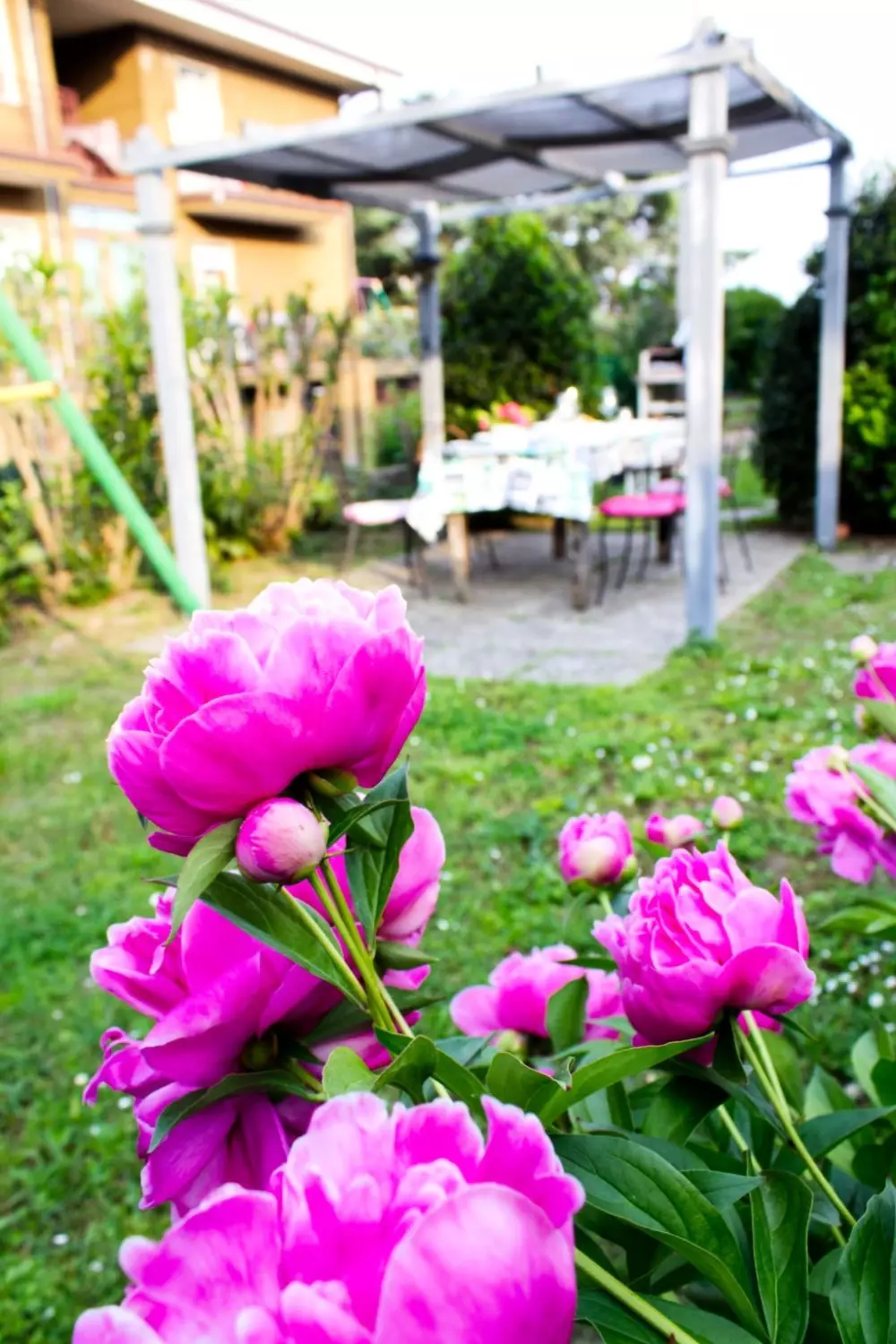 Résidence Wohnung 'Casa Natalia' mit Privatparkplatz