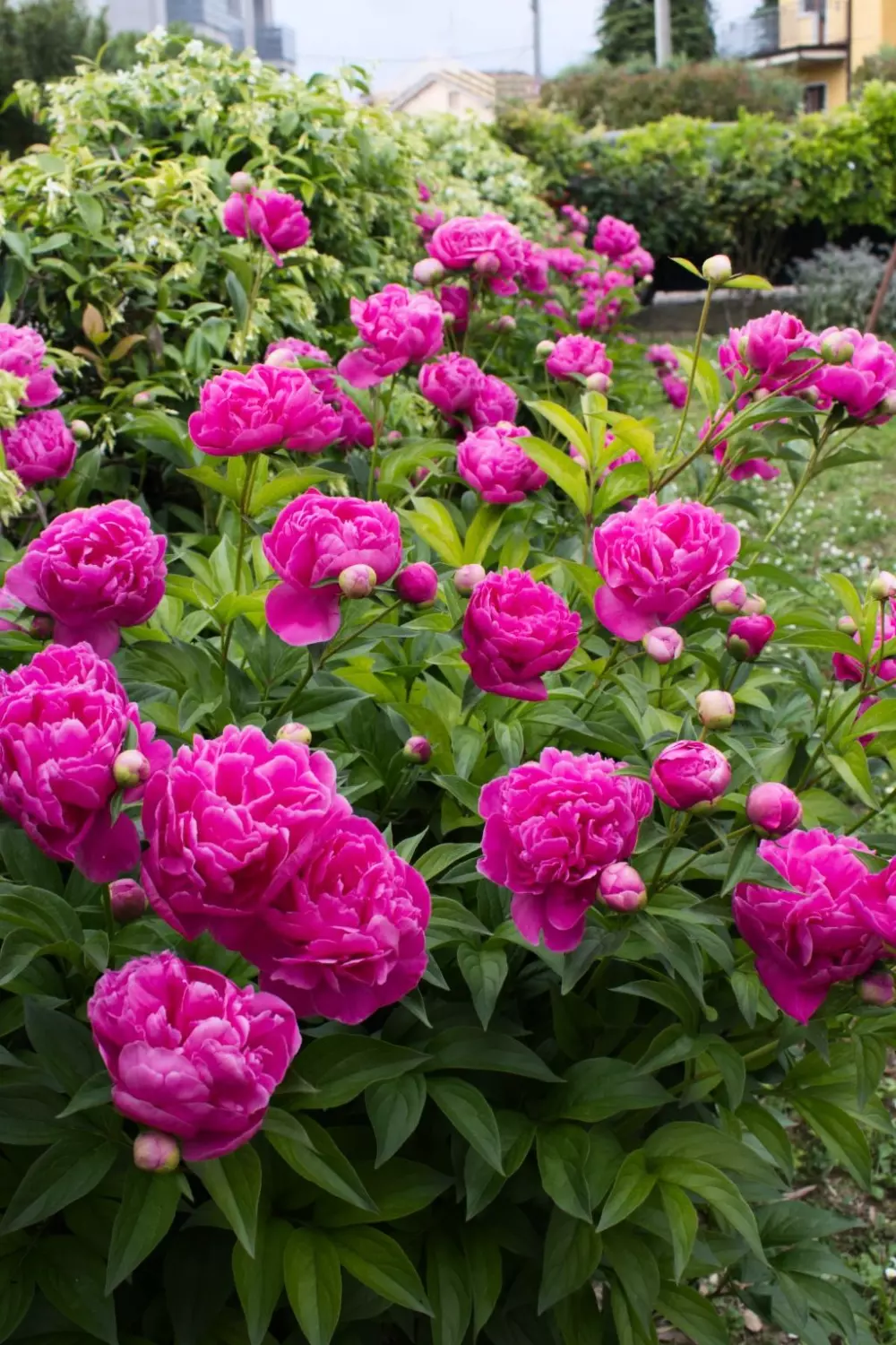 Résidence Wohnung 'Casa Natalia' mit Privatparkplatz