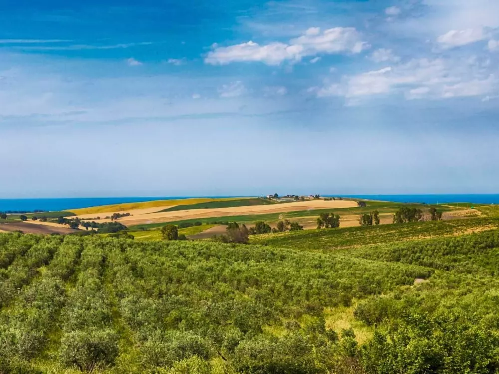 Maison de Vacances Petacciato