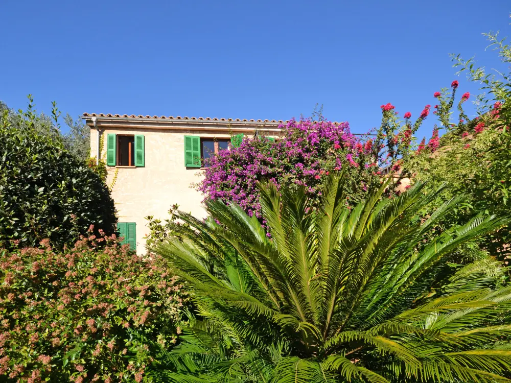 Maison de Vacances Petra