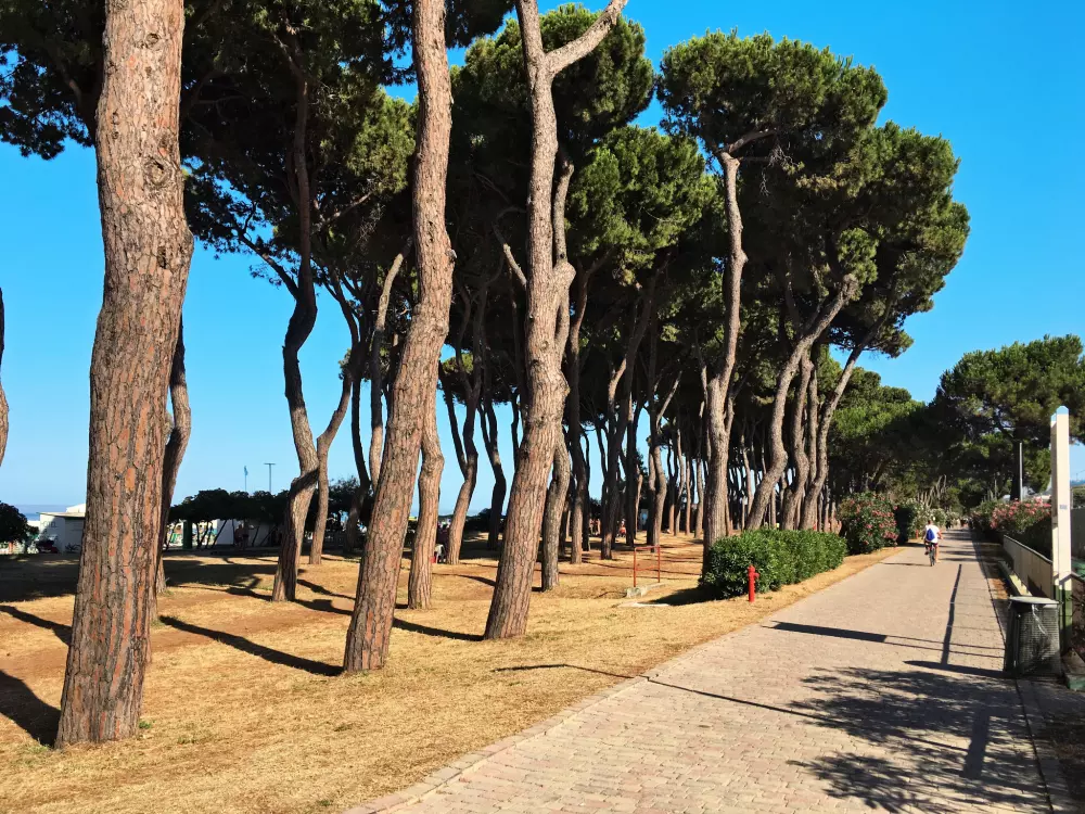 Maison de Vacances Pineto