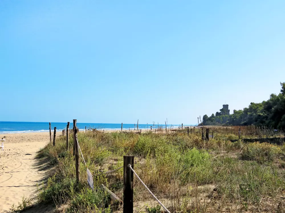 Maison de Vacances Pineto