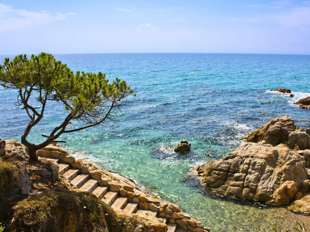 Résidence WELCS APARTAMENTO 130 PDA frente al mar