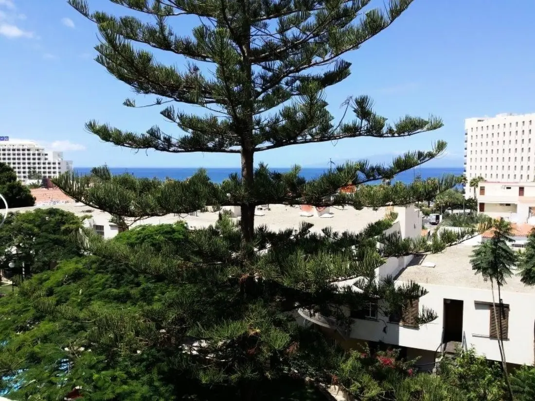 Résidence Apartment Jacaranda mit Pool