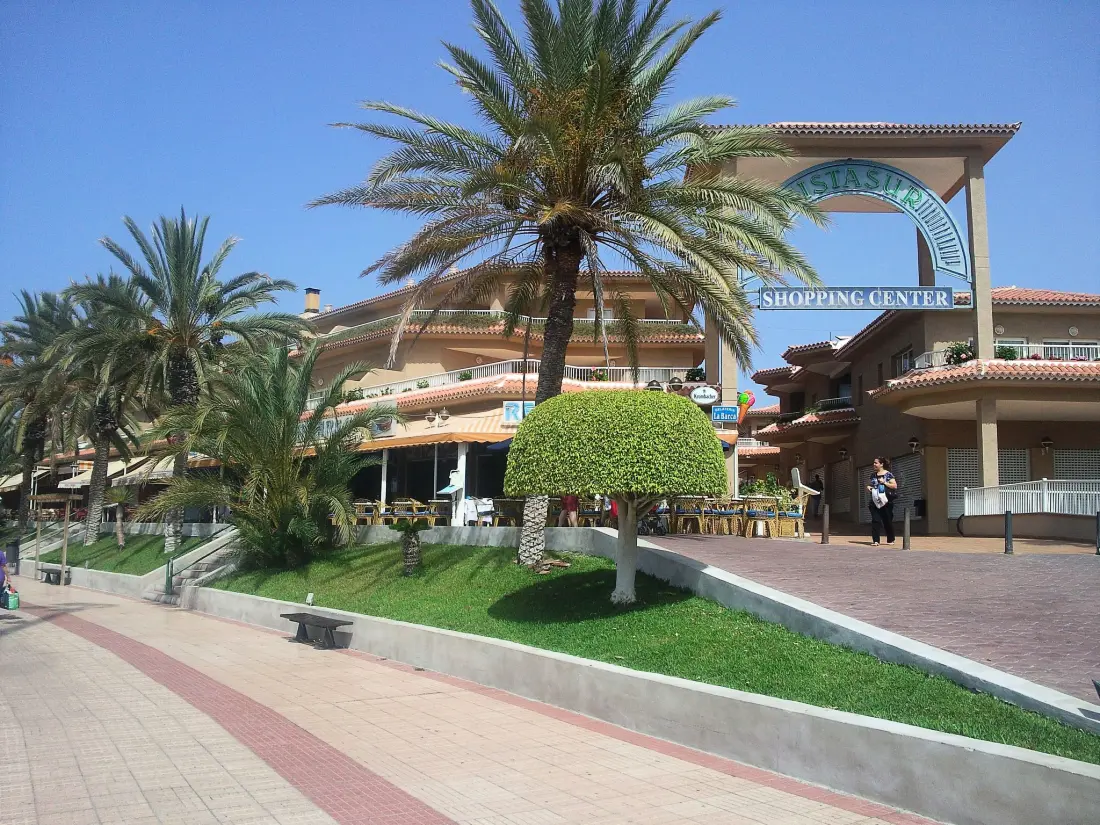 Résidence Apartment Playa Las Vistas 2