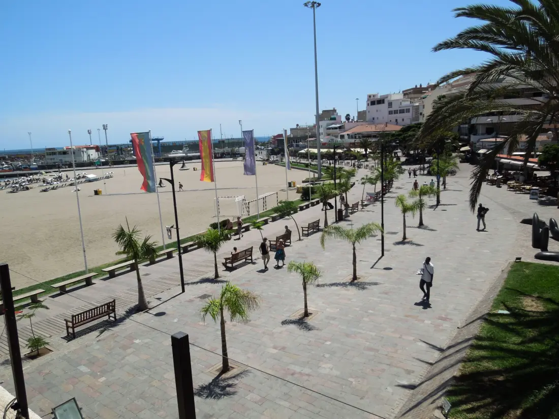 Résidence Apartment Playa Las Vistas 2