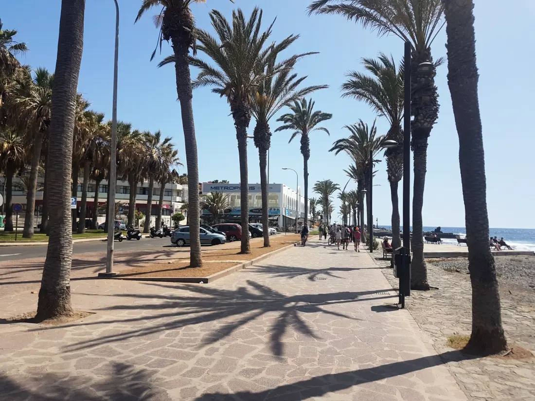 Résidence Casa Palmera 2