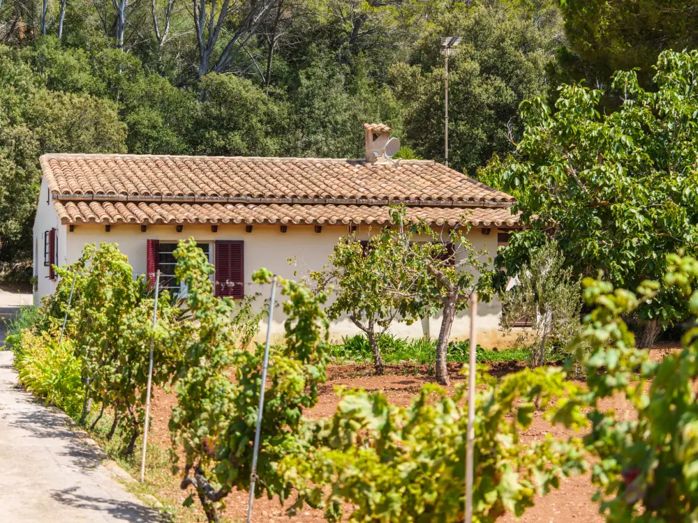 Maison de Vacances Pollença