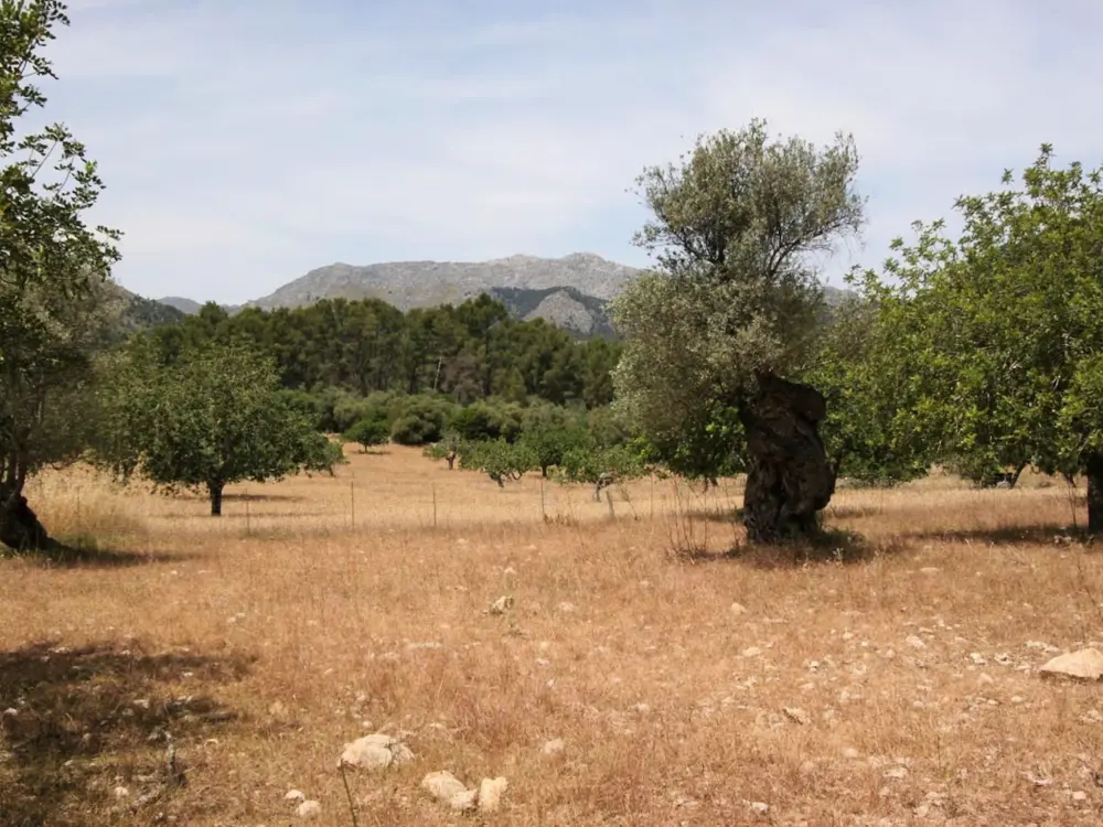 Maison de Vacances Pollença
