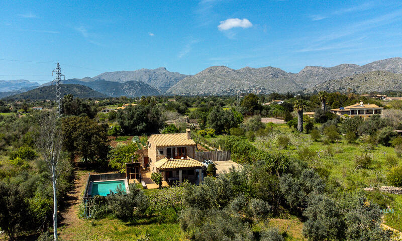 Maison à Pollensa / Pollença Majorca / Mallorca - - Pollensa / Pollença Majorca / Mallorca - 35