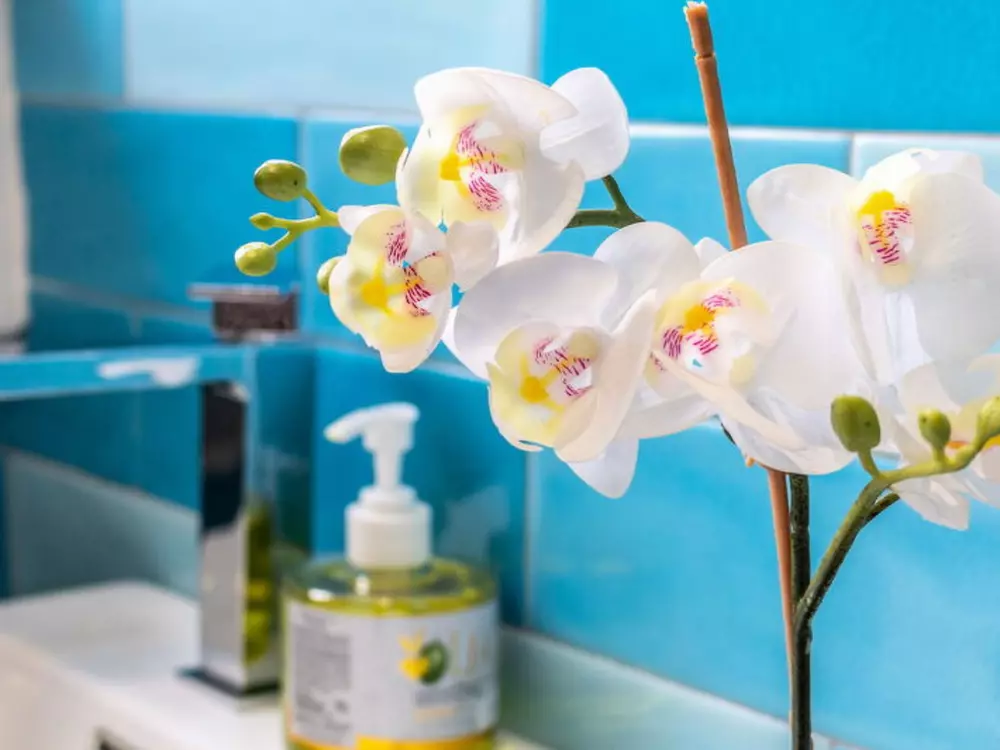 Résidence Conero Bluloft