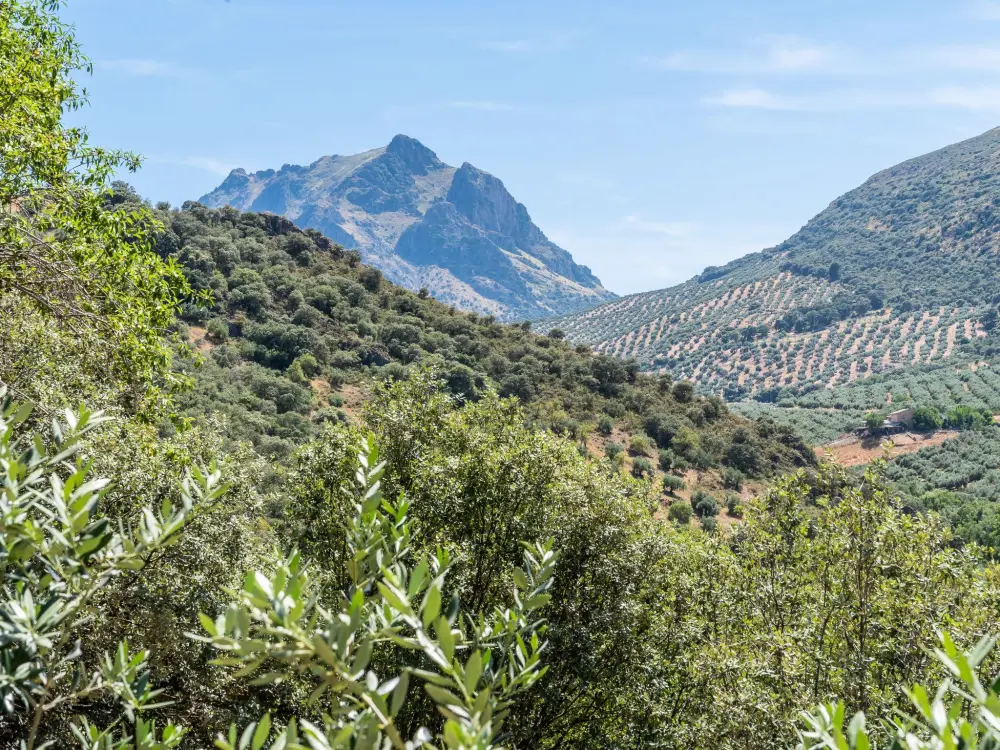 Maison de Vacances Priego de Córdoba