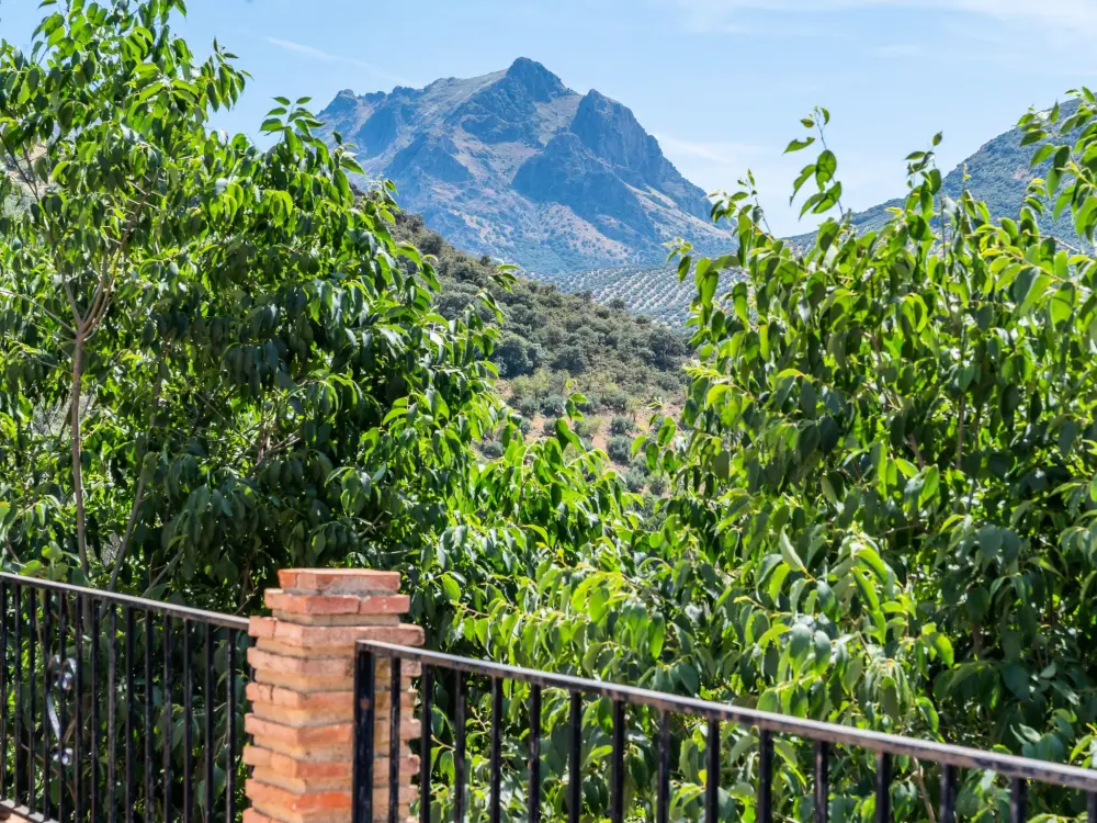 Maison de Vacances Priego de Córdoba