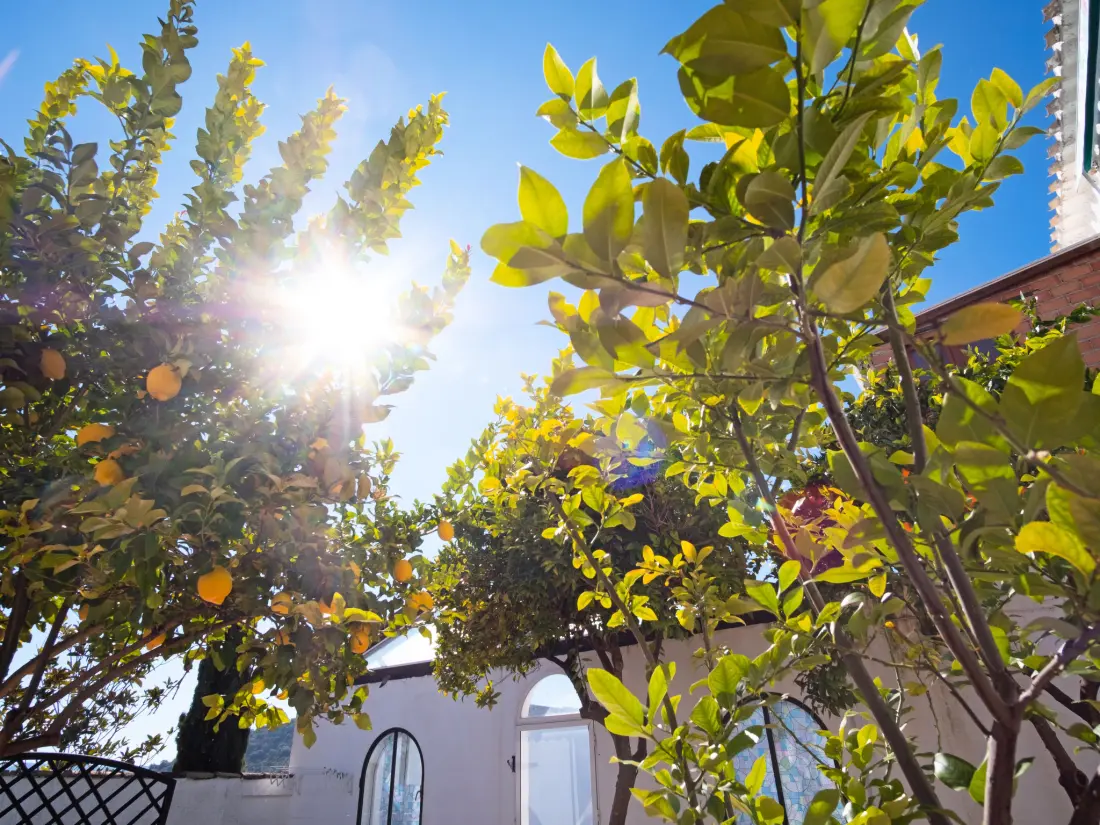 Maison de Vacances Priego de Córdoba