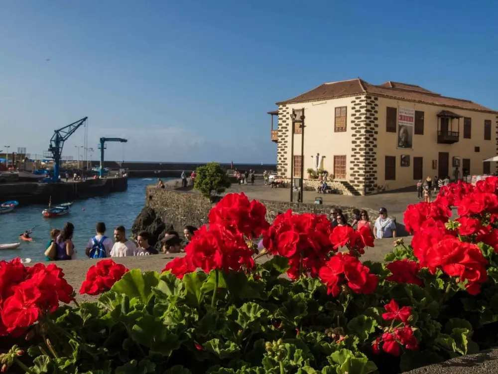Résidence Prime Homes Muelle Studio