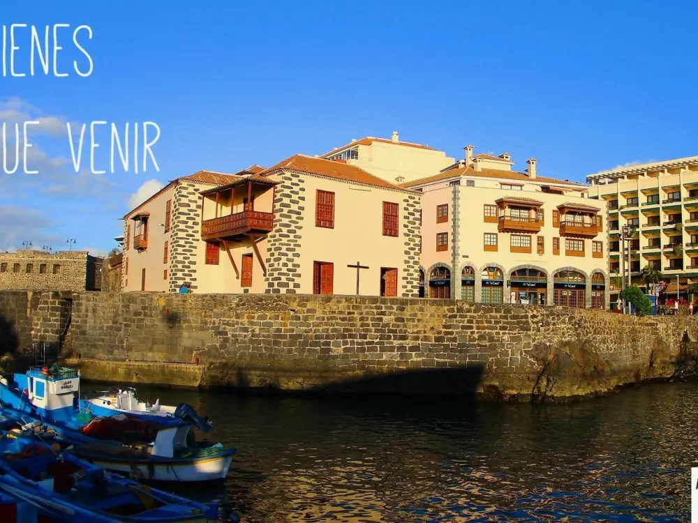 Résidence Prime Homes Muelle Studio