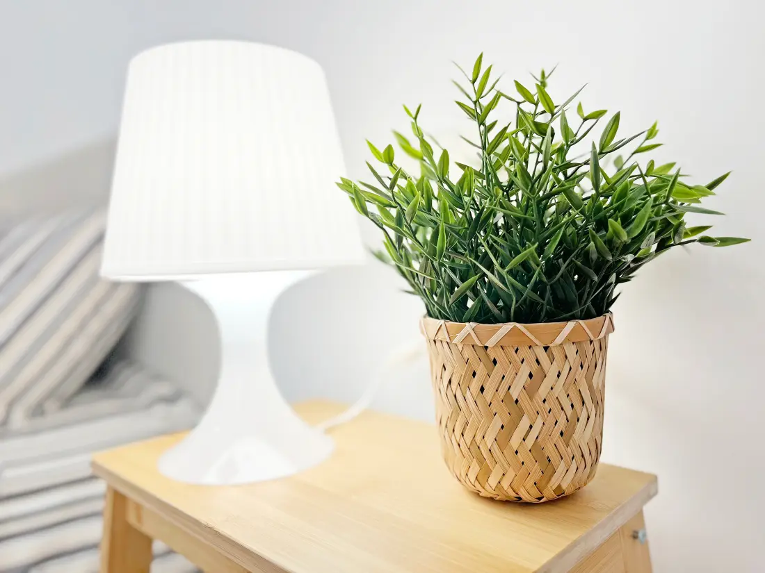 Appartements à Puerto de Sagunto