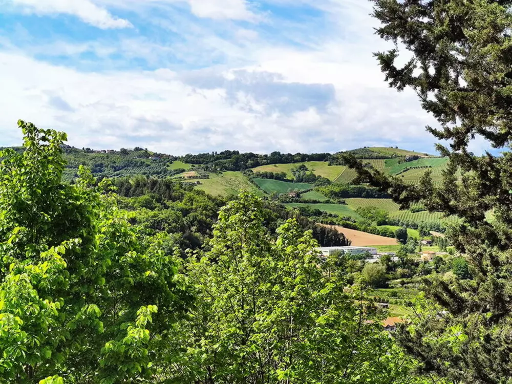 Maison de Vacances Ripatransone