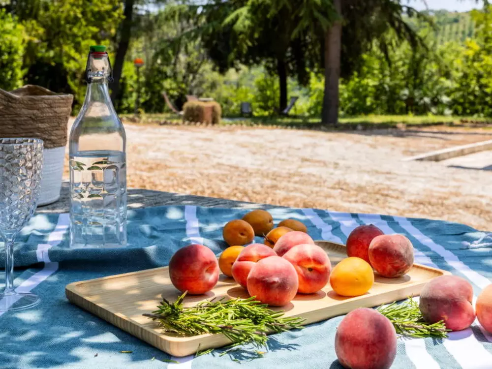 Maison de Vacances Ripatransone