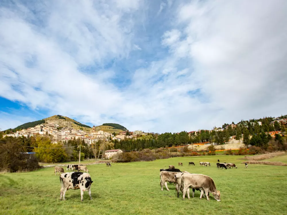 Résidence La Collina