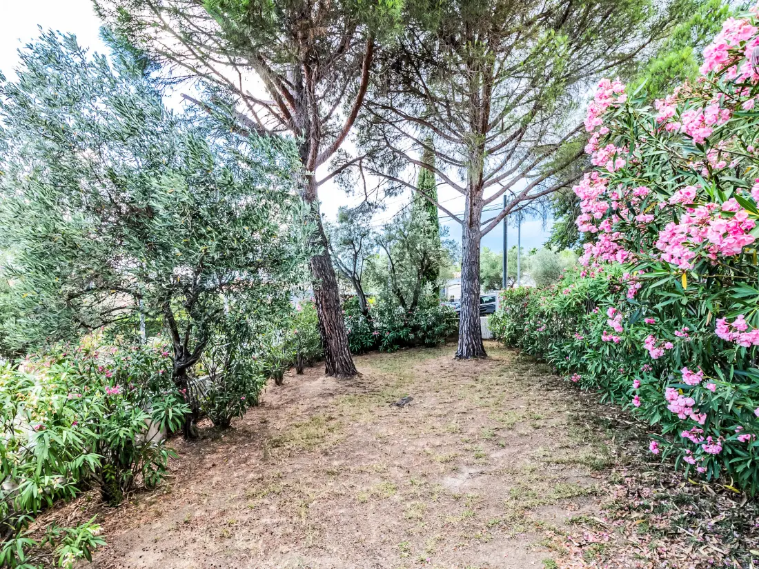 Maison de Vacances Roses