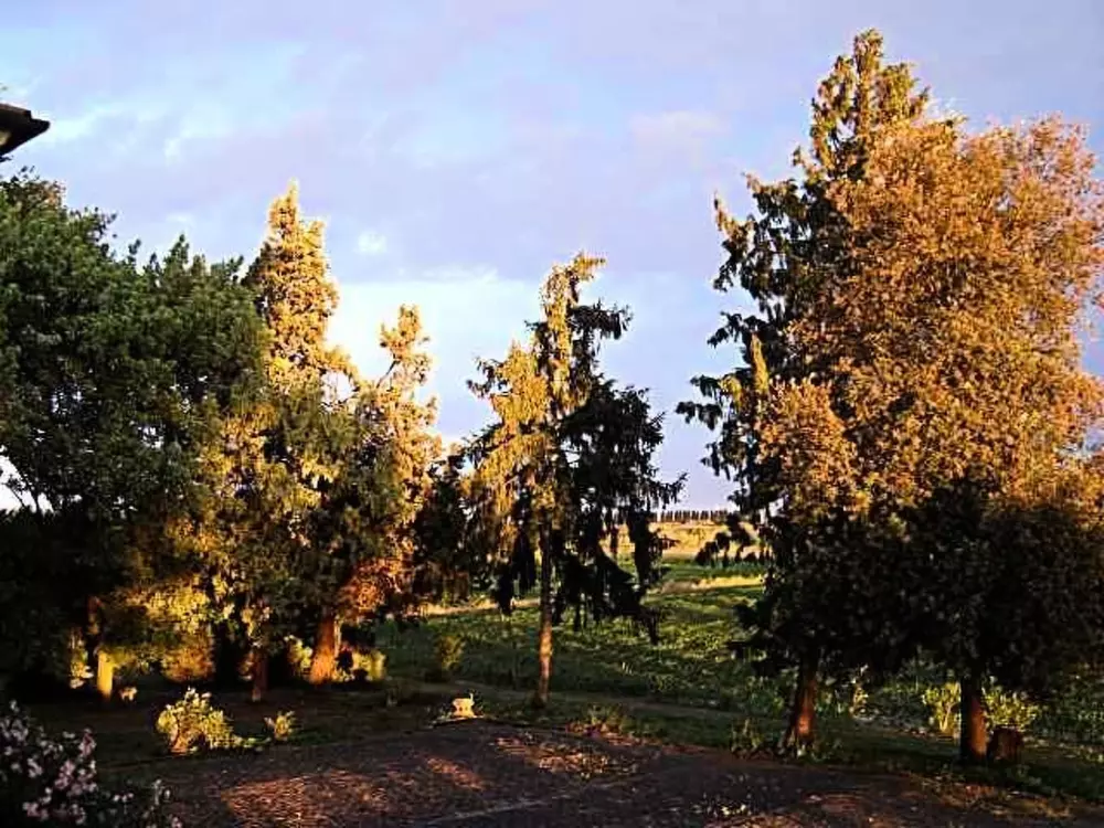 Résidence in Rosolina mit Grill und Garten
