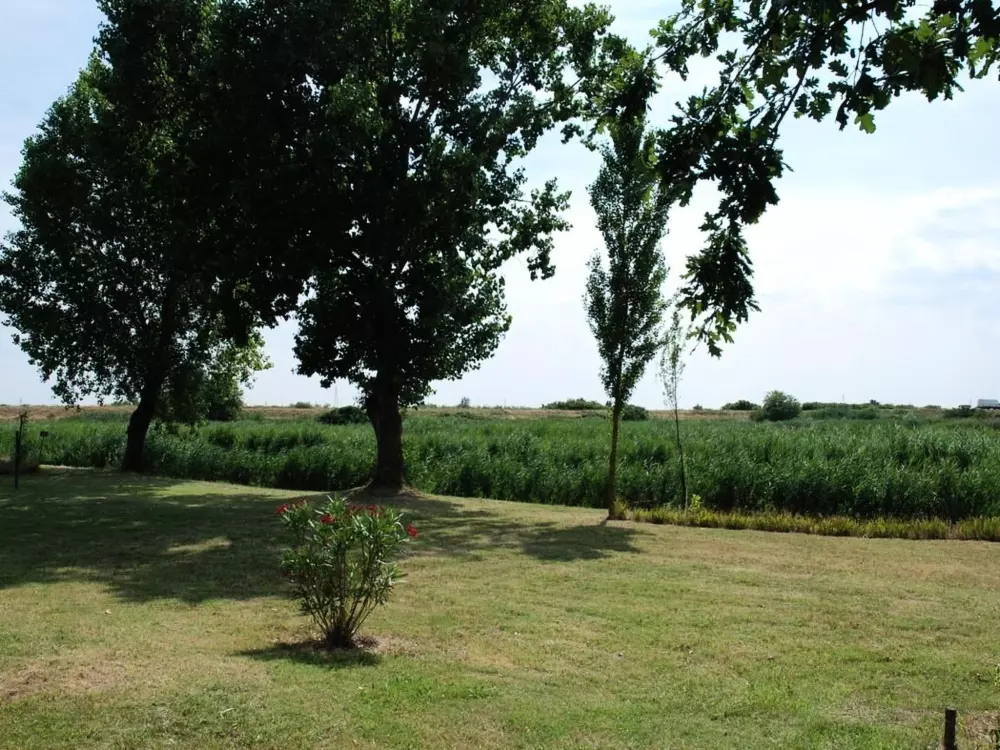 Résidence in Rosolina mit Grill und Garten