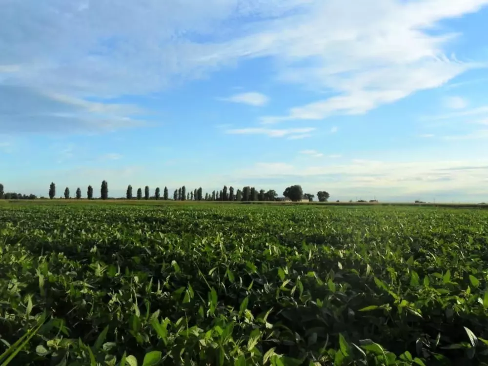 Résidence in Rosolina mit Grill und Garten