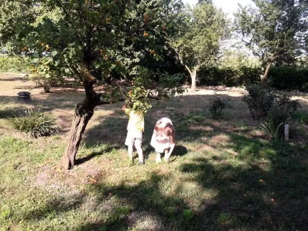 Résidence in Rosolina mit Grill und Garten