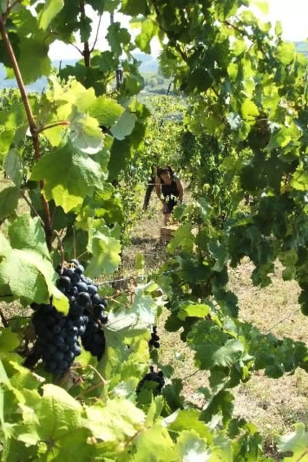 Résidence Wohnung mit Panoramablick für 2 Personen