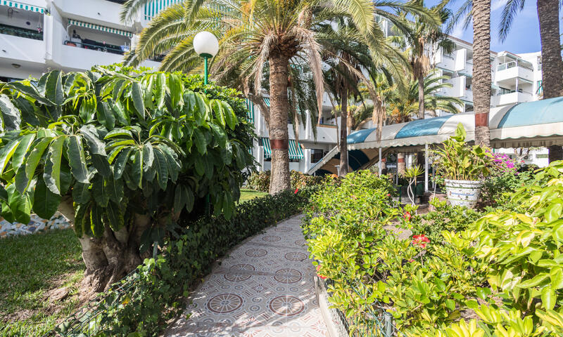 Appartements à San Bartolomé de Tirajana - - San Bartolomé de Tirajana - 36