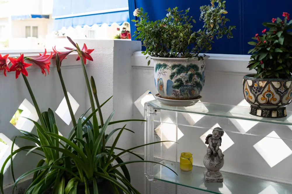 Appartements à San Pedro de Alcántara