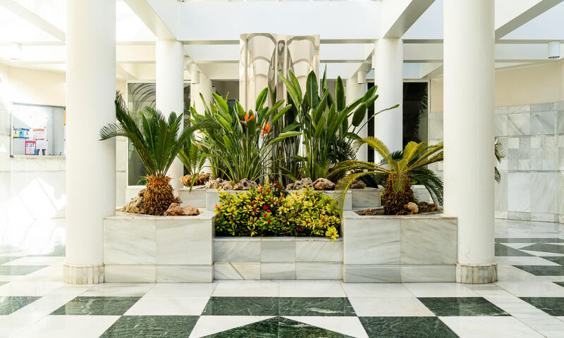 Appartements à San Pedro de Alcántara - - San Pedro de Alcántara - 3