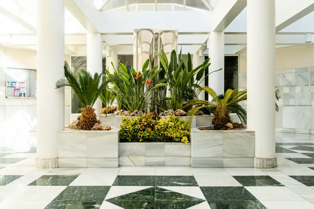 Appartements à San Pedro de Alcántara