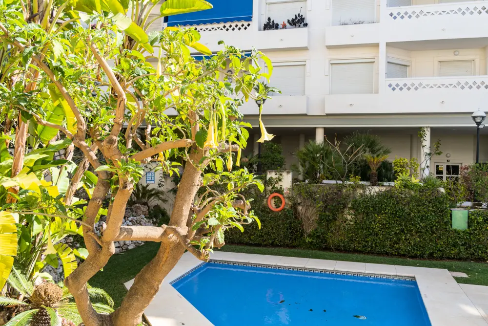 Appartements à San Pedro de Alcántara