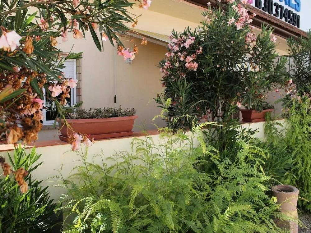 Résidence Casa Flora