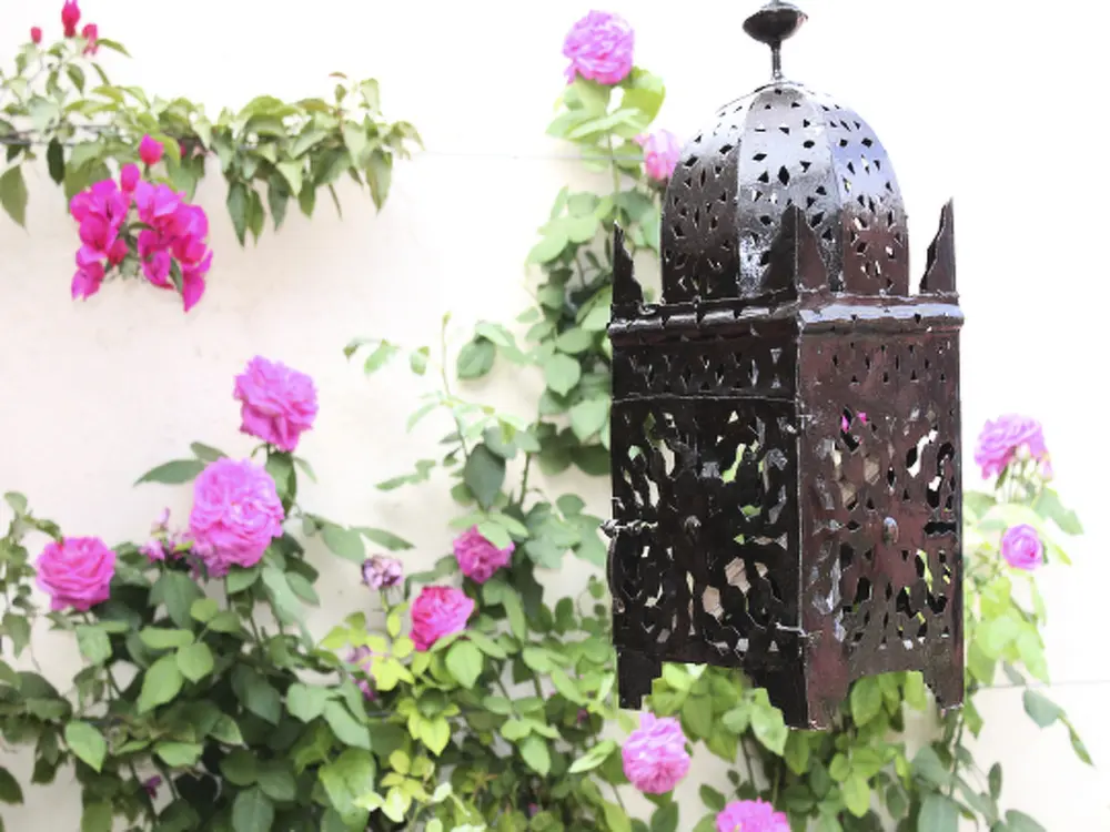 Résidence Casa Isabel - gemütliche Wohnung mit Terrasse