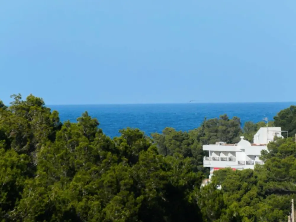 Maison de Vacances Sant Joan de Labritja
