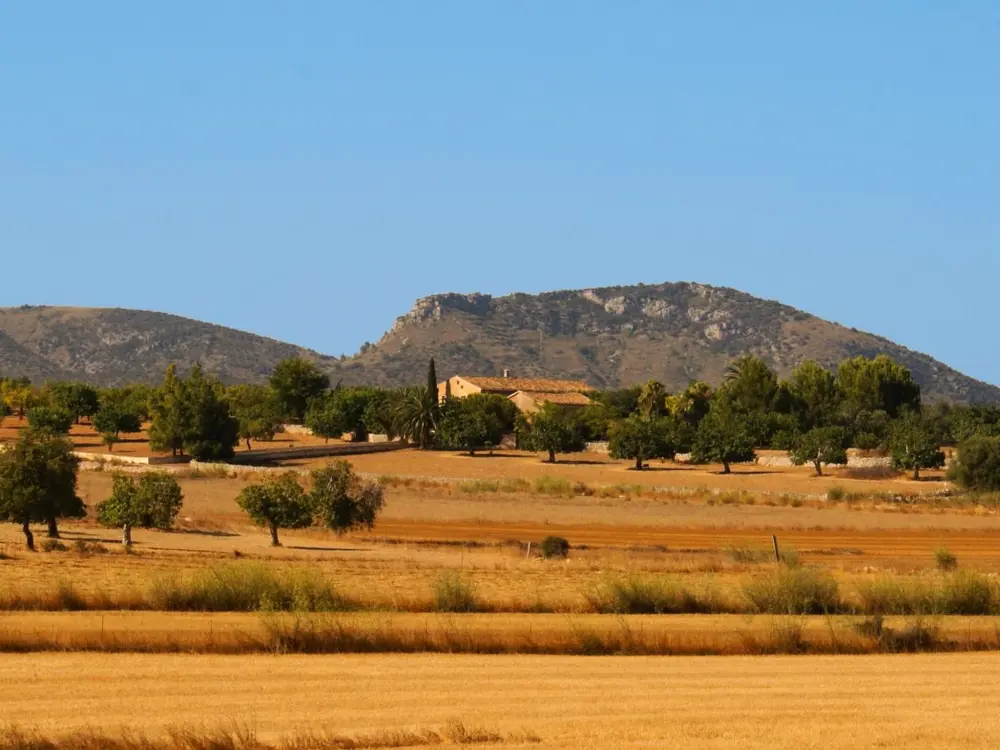 Maison de Vacances Sant Llorenç