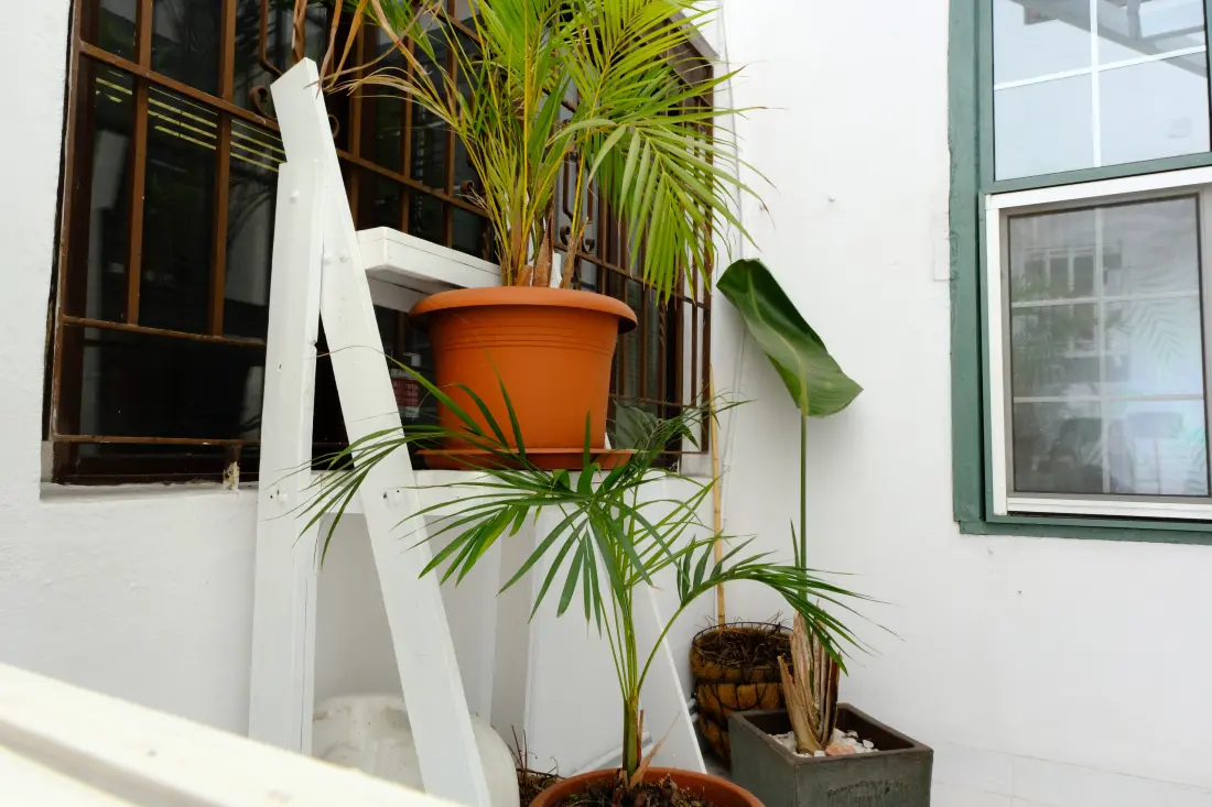Maison à Santa Cruz de la Palma