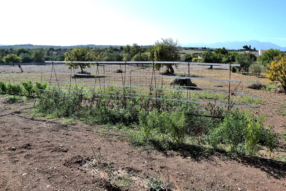 Maison à Santa Margalida