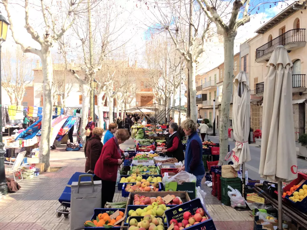 Maison à Santa Margalida