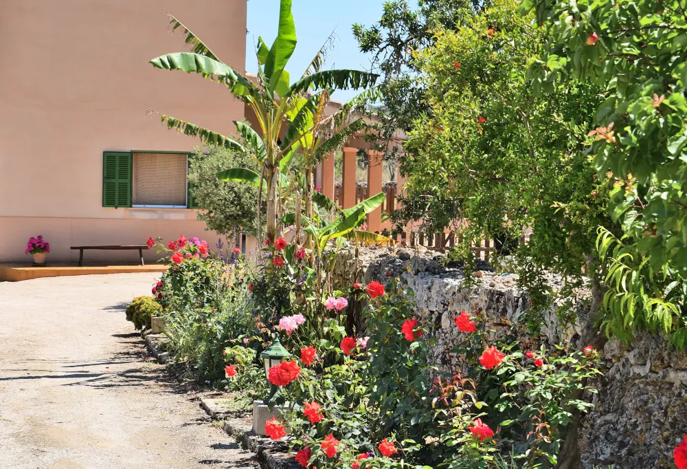 Maison à Santa Margalida
