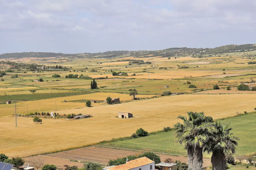 Maison à Santa Margalida