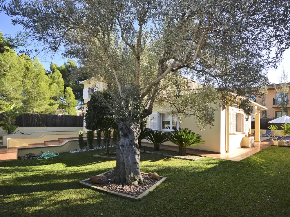 Maison de Vacances Santa Margalida