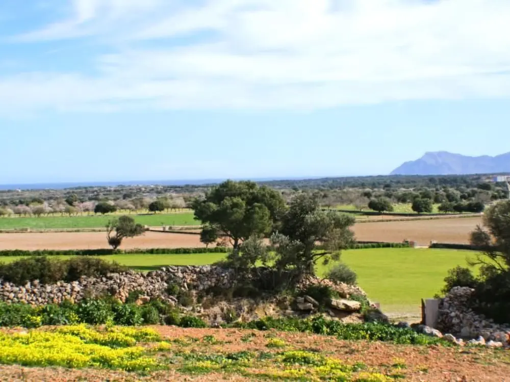Maison de Vacances Santa Margalida
